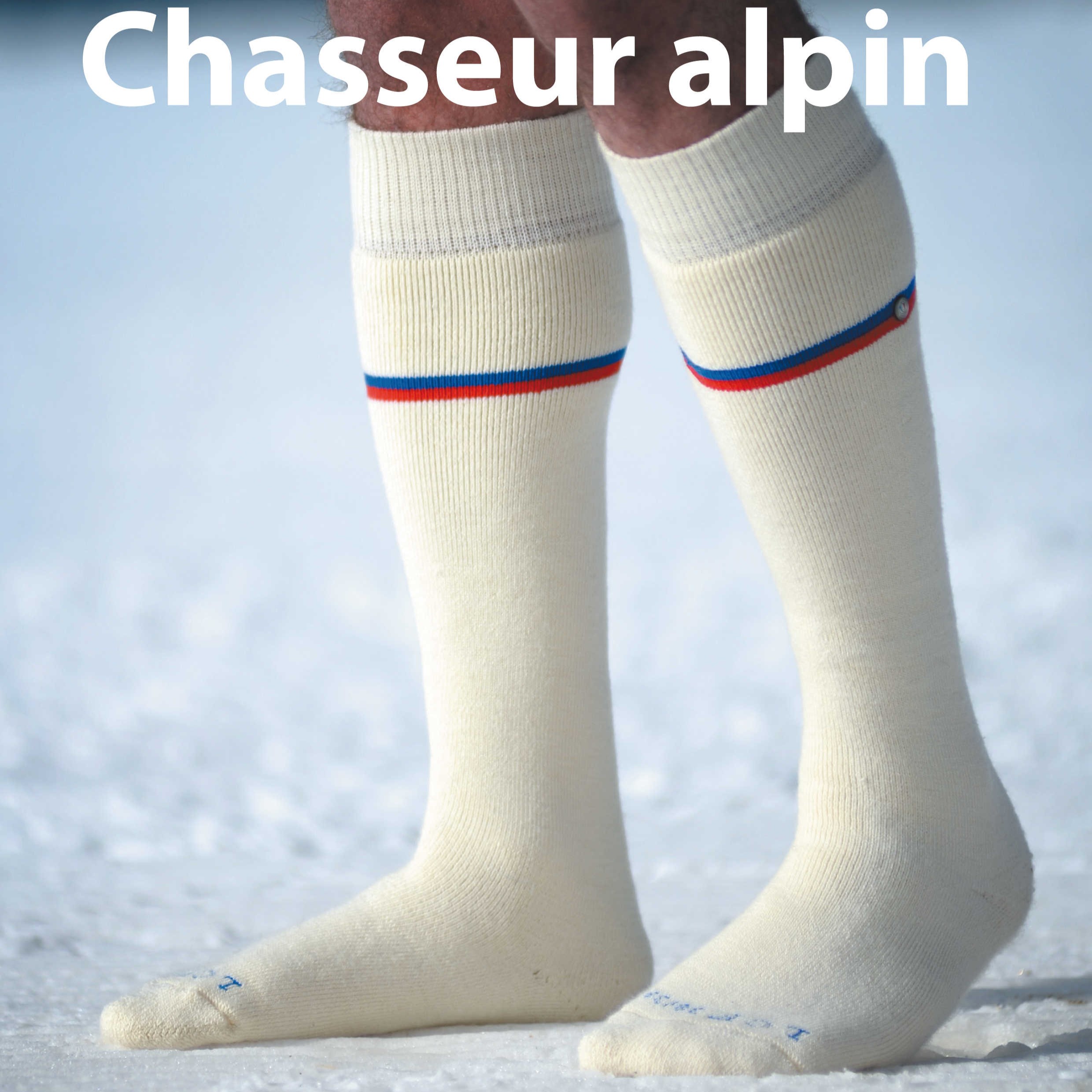 Chasseur Alpin
